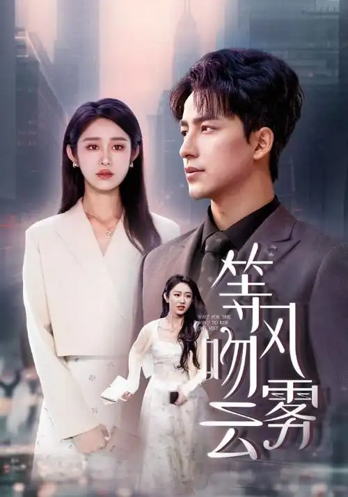长夜灯火 热播电视剧全集在线观看